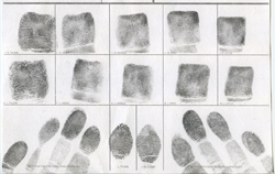 Finger Prints